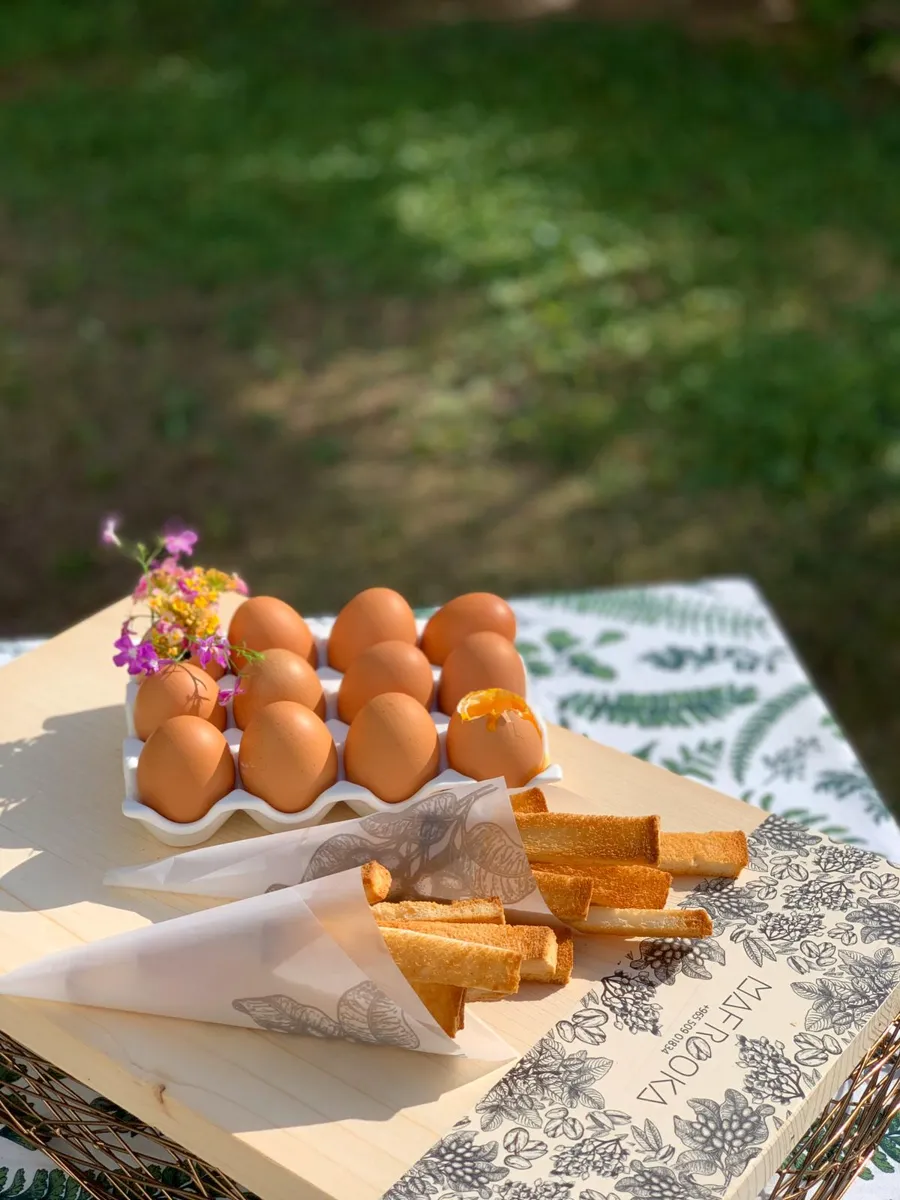 Golden eggs 🌾