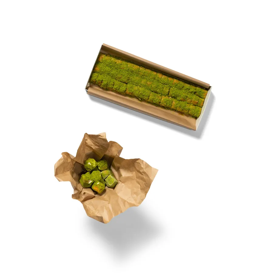 Bundle 4