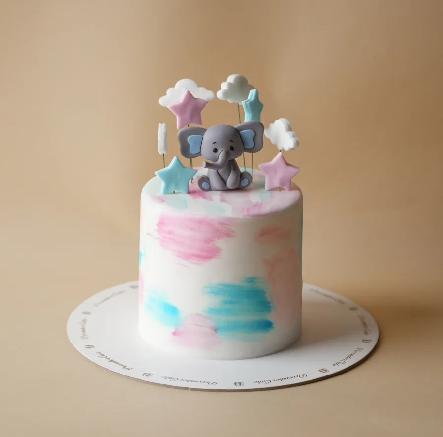 Elephant 🐘 cake pink or blue 6inch mix chocolate vanilla