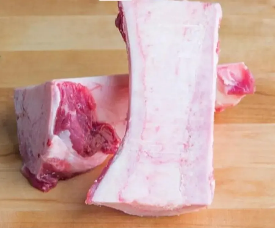 Bone Marrow