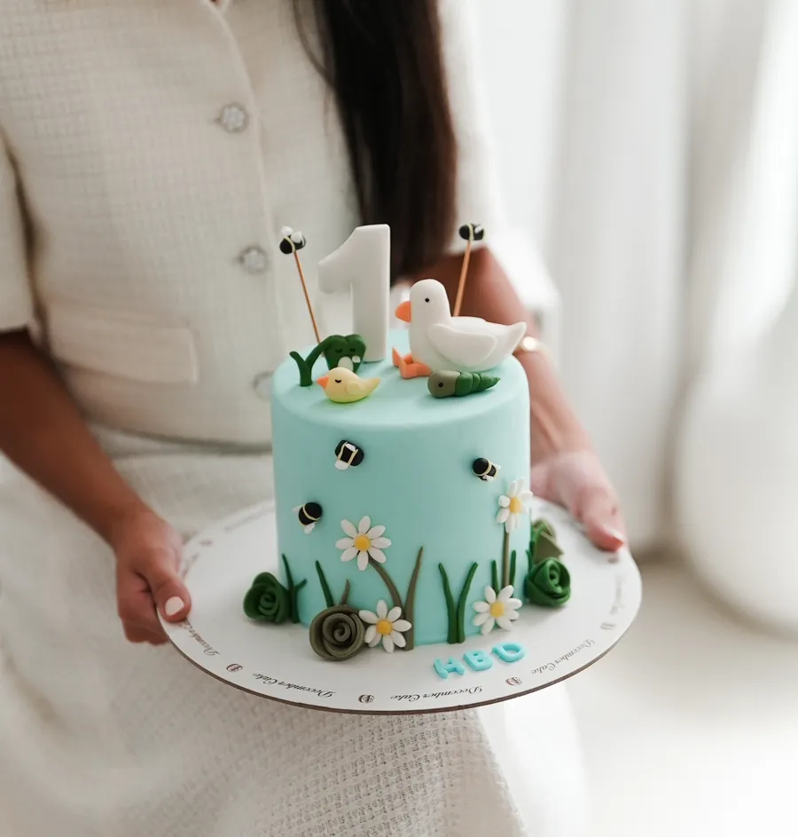 Birds blue cake 6 inch mix chocolate vanilla