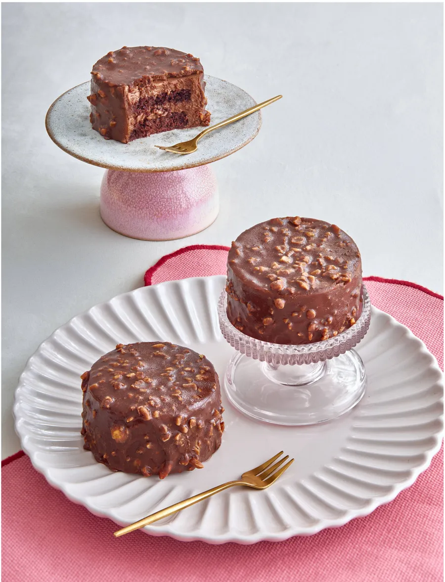 Chocolate Croccante Shell Gateau