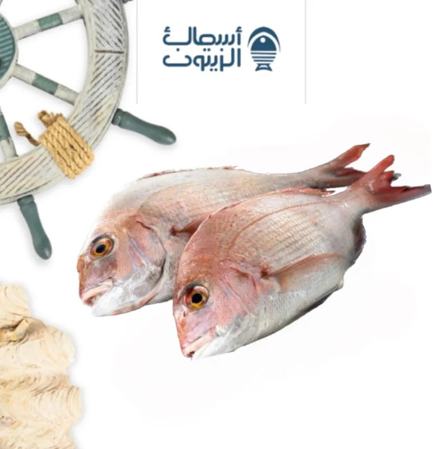 Marjan half kilo