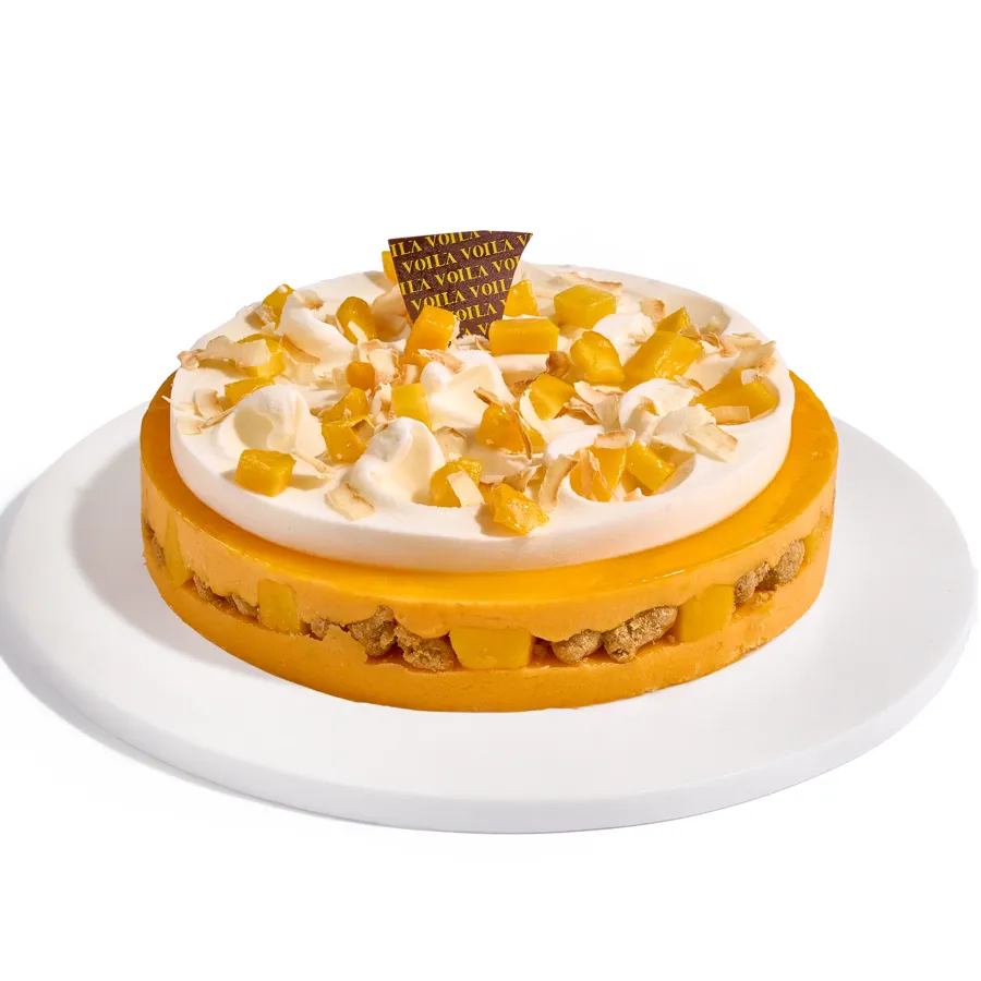 Coco-Mango Ice Cream Cake