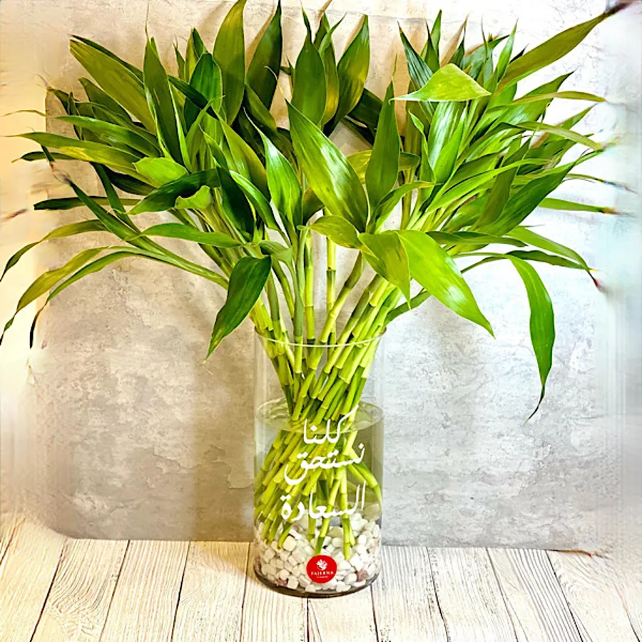 Happy Bamboo |