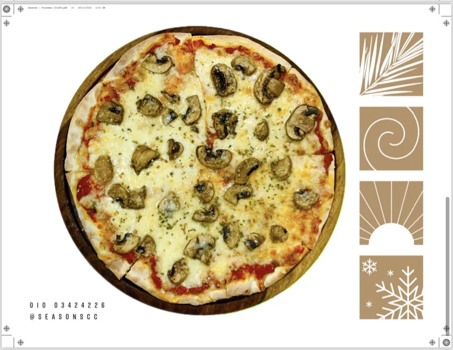 MUSHROOM PIZZA