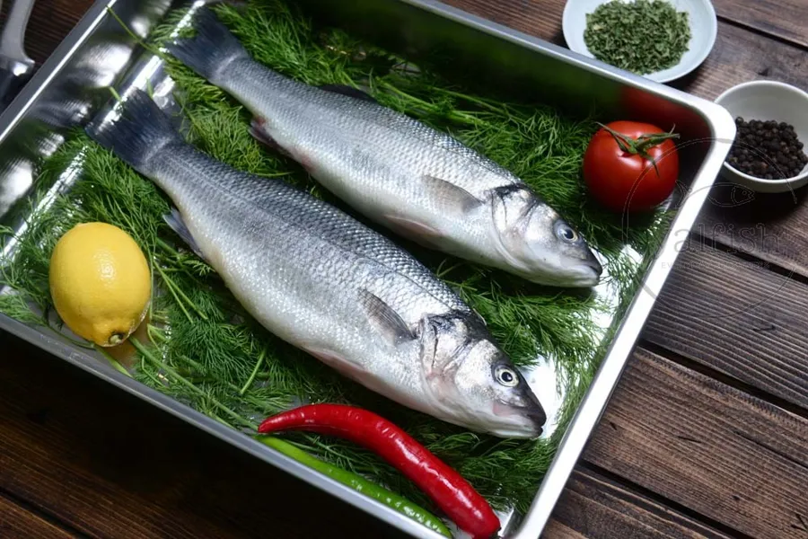 Sea bass Fish