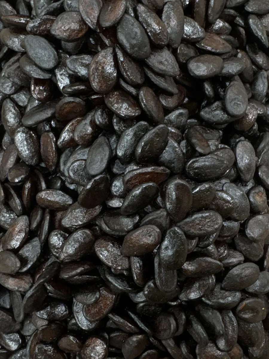 Watermelon seeds black