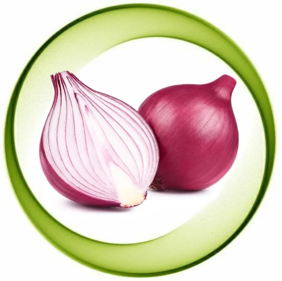 Onion