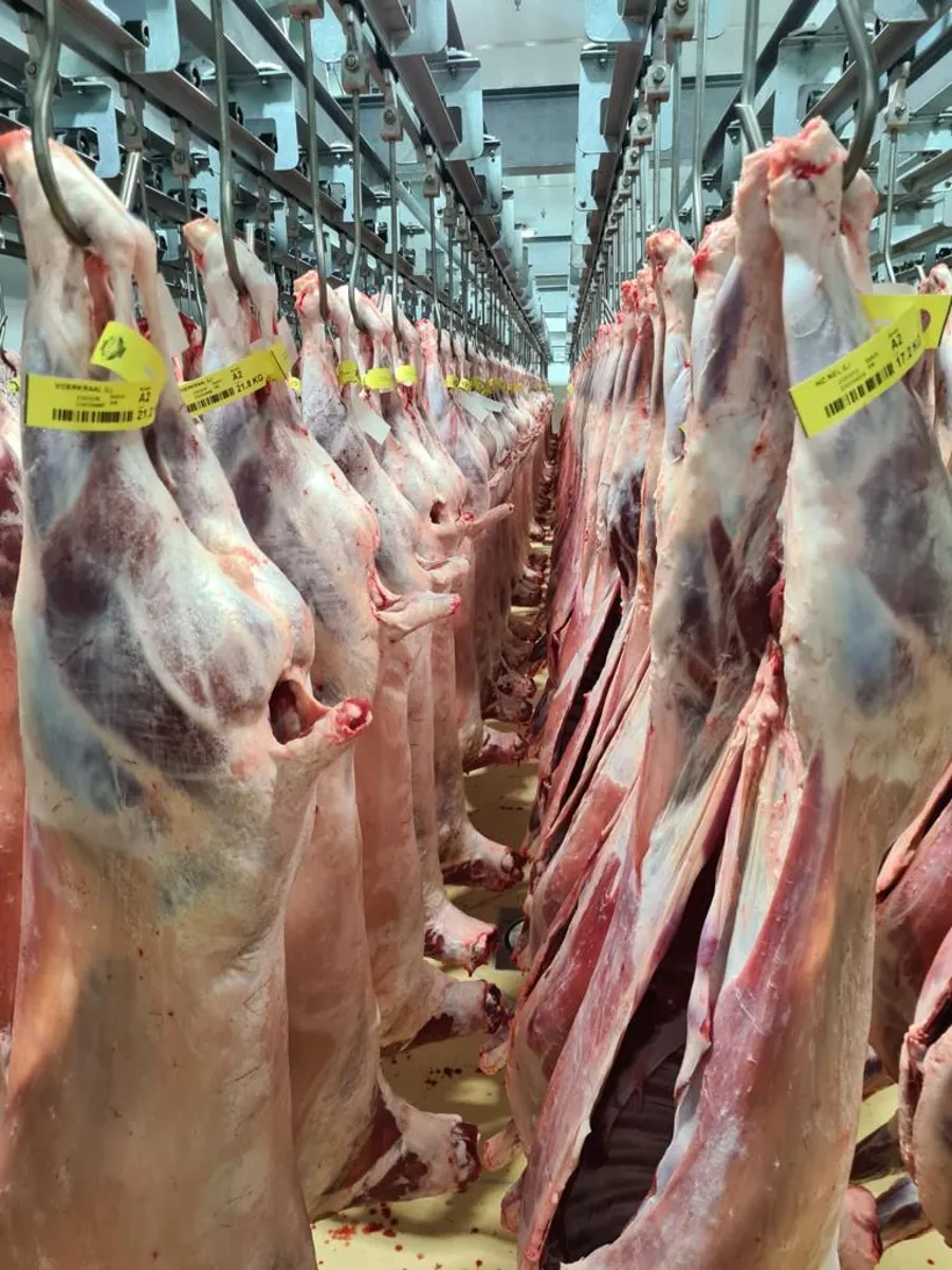 Australian lamb 11 to 12 kg