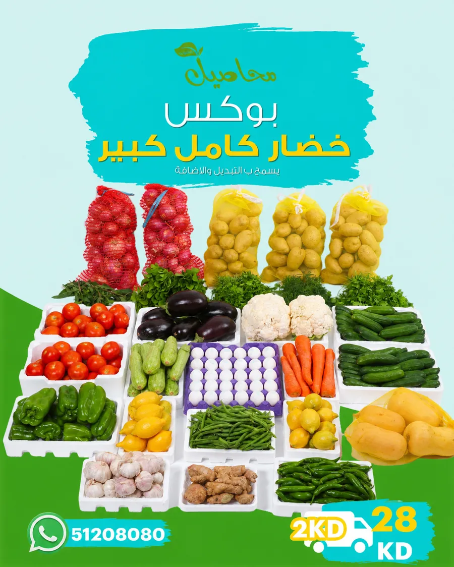 Large vegetable box