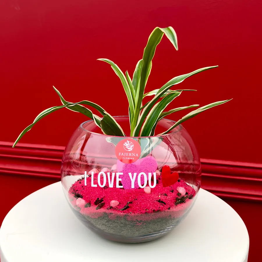 Love in air |