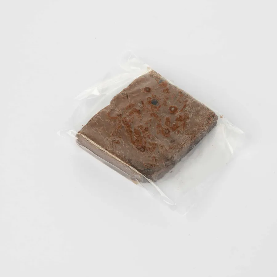 Brownie protein