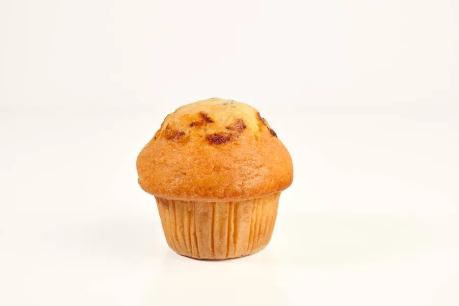 Blueberry Muffin