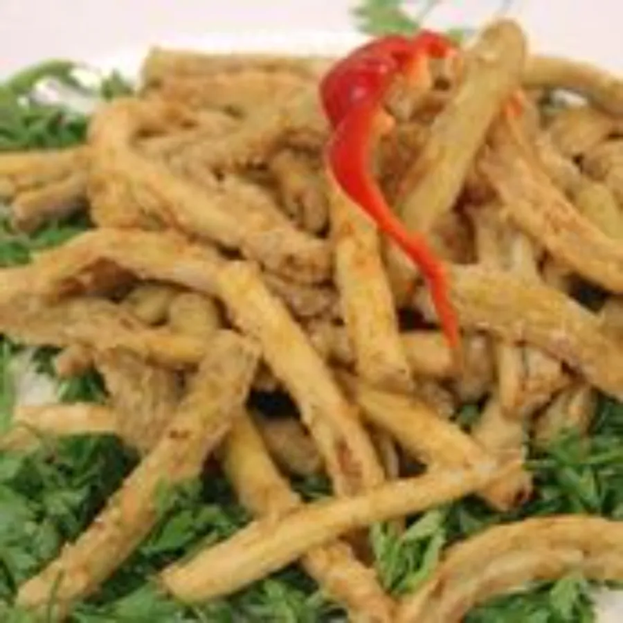 Eel Fish 