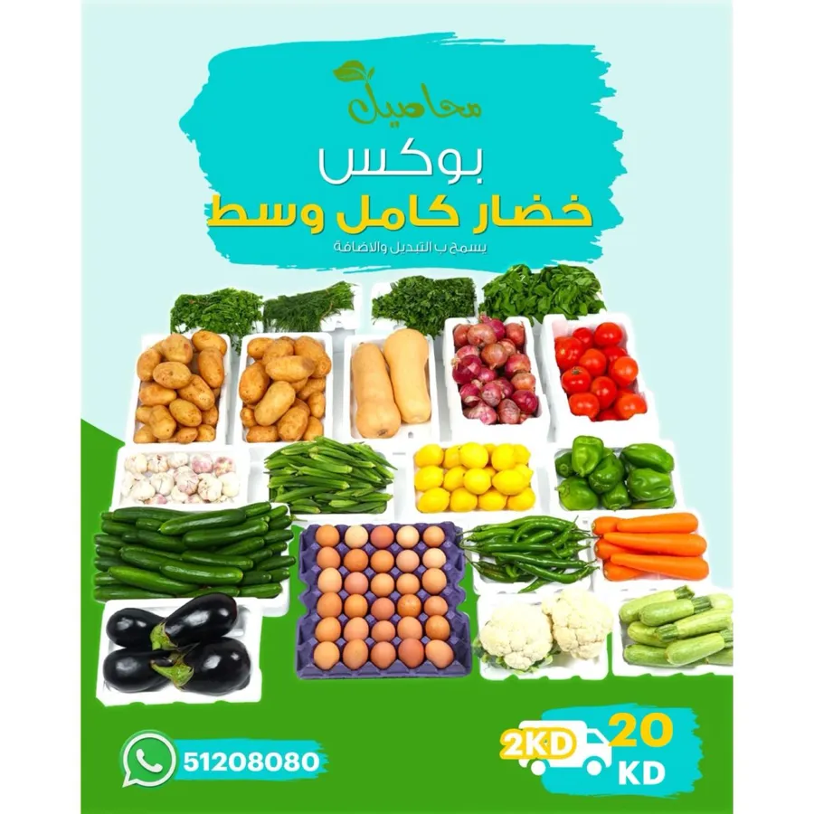 Medium vegetable box