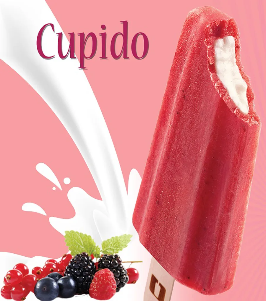 Regular Icecream : Mix berries with cheesecake