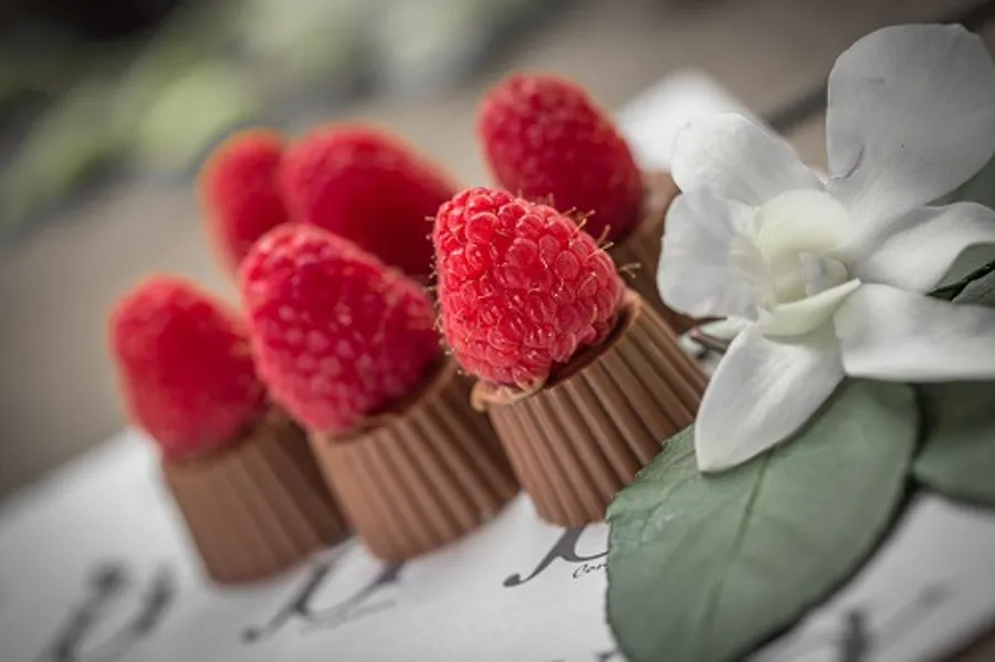 Raspberry Chocolate