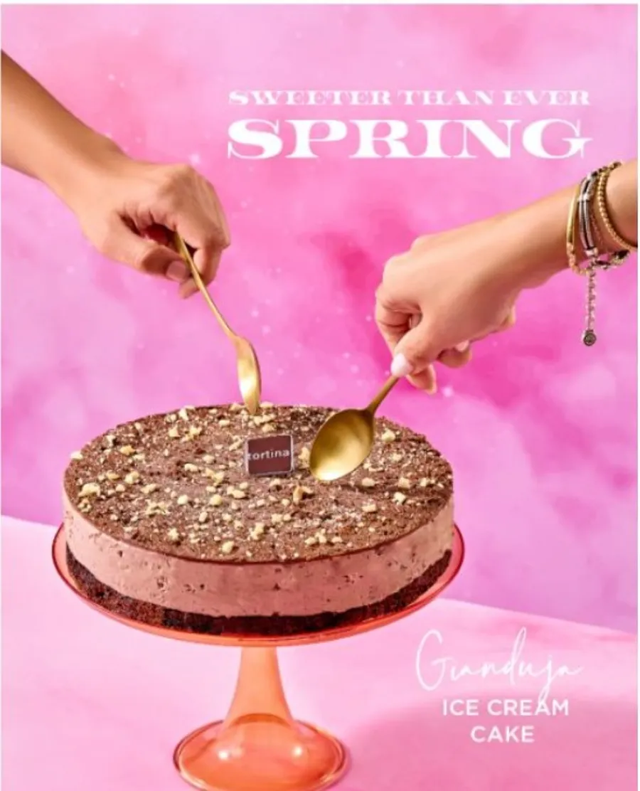Gianduja Ice Cream Cake