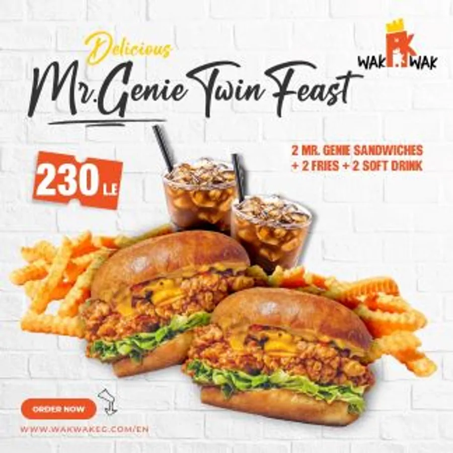 MR. GENIE TWIN FEAST