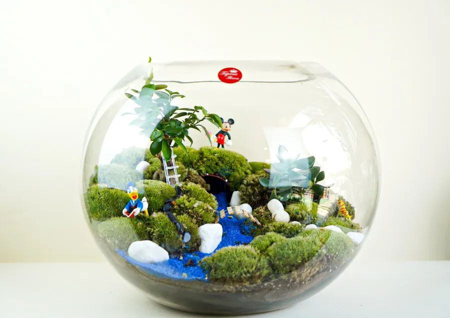 Disney Terrarium