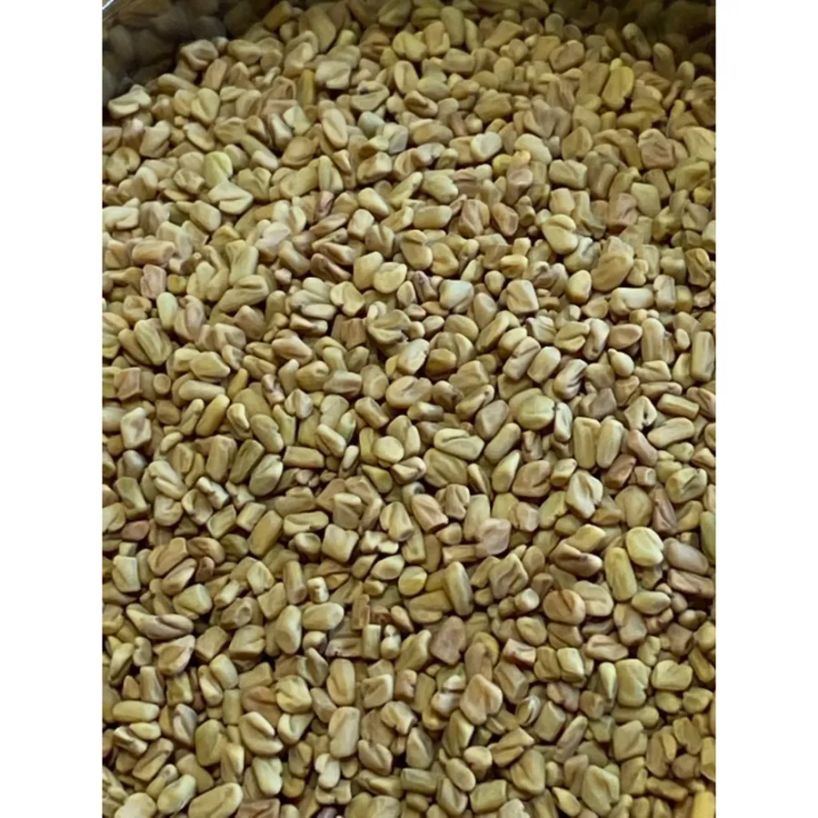 حلبه حب NO: 40