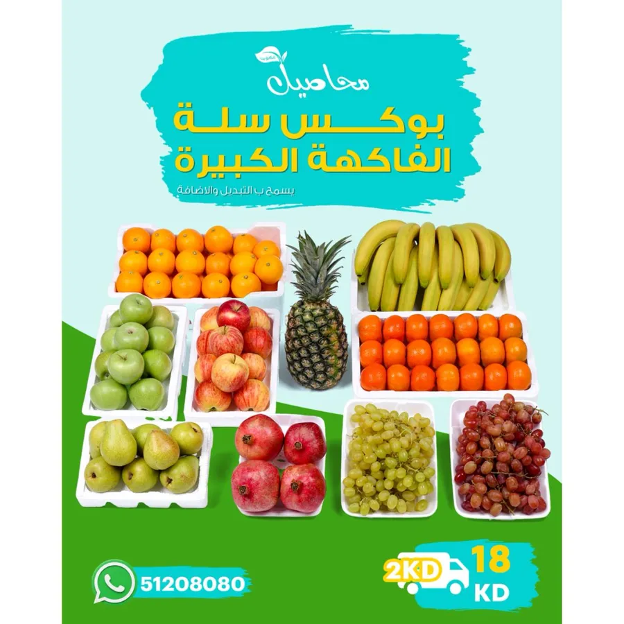 Large fruit box