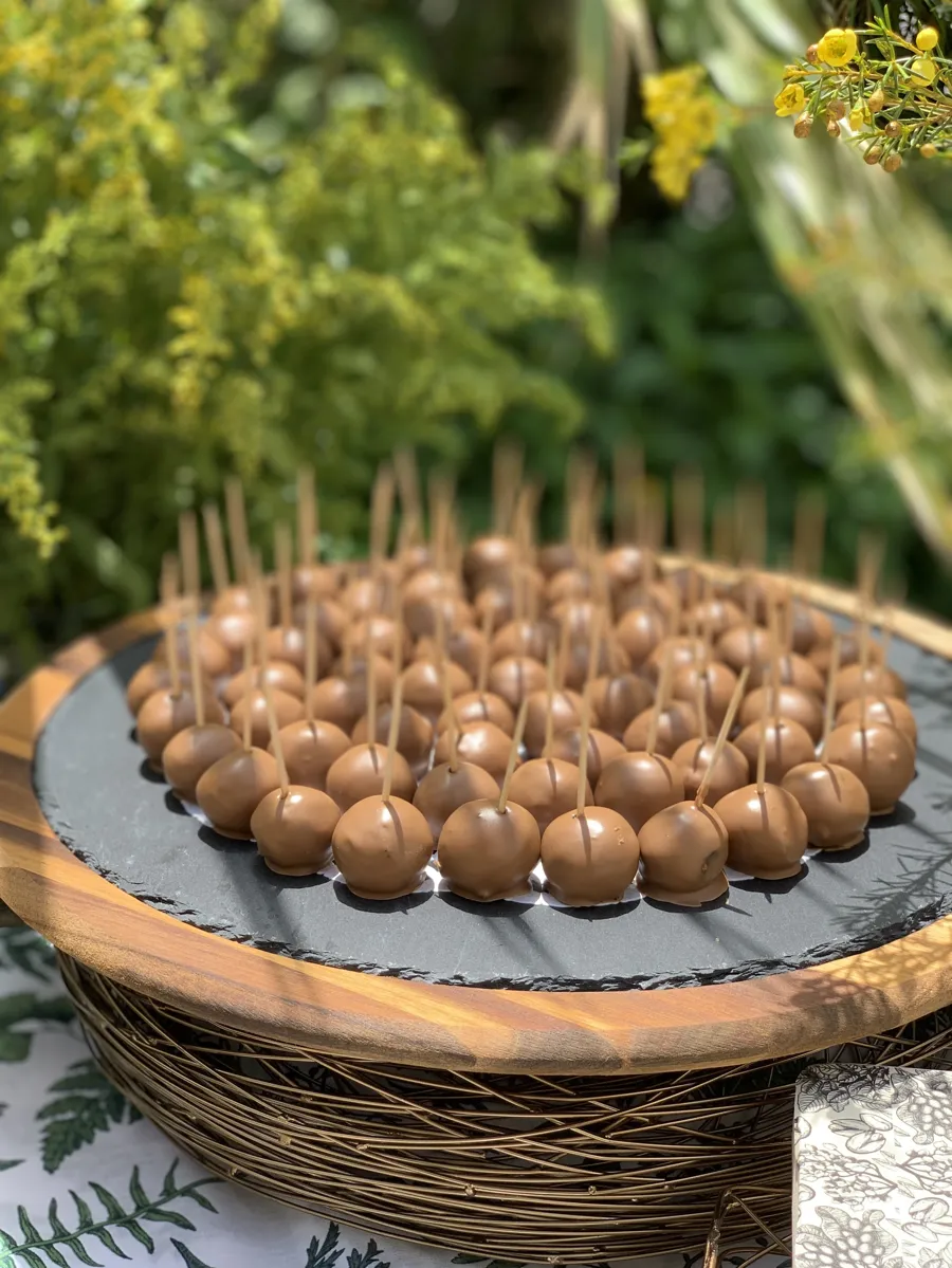 Chocolate Bites🥛🌾