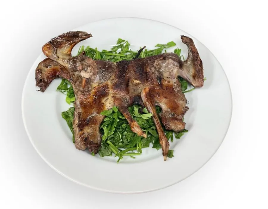 1 Grilled Pigeon