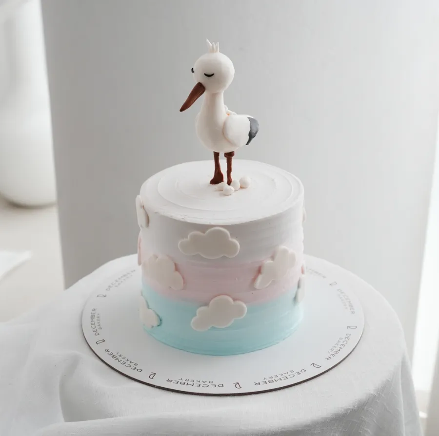 Bird sky cake she or he 6inch