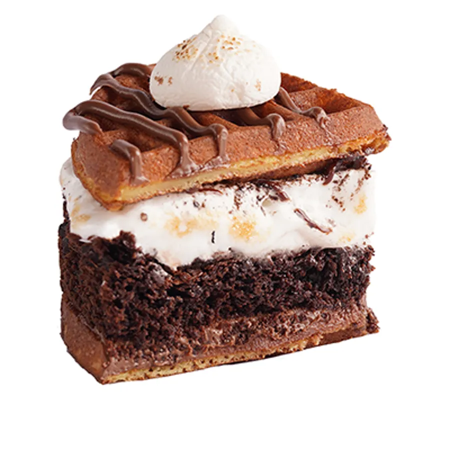 Earthquake Waffle Cake Slice