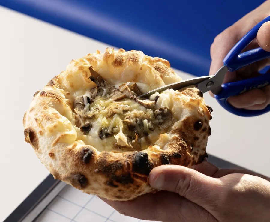 truffle cheese with mushroom