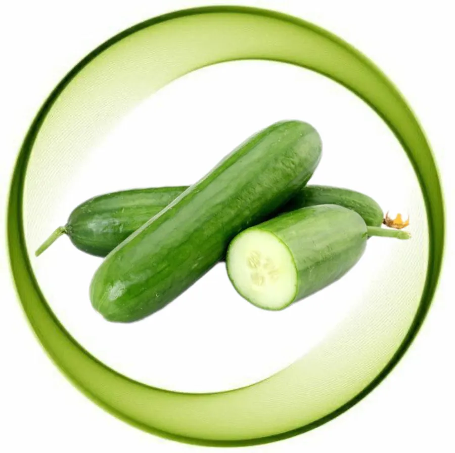 Cucumber Pack