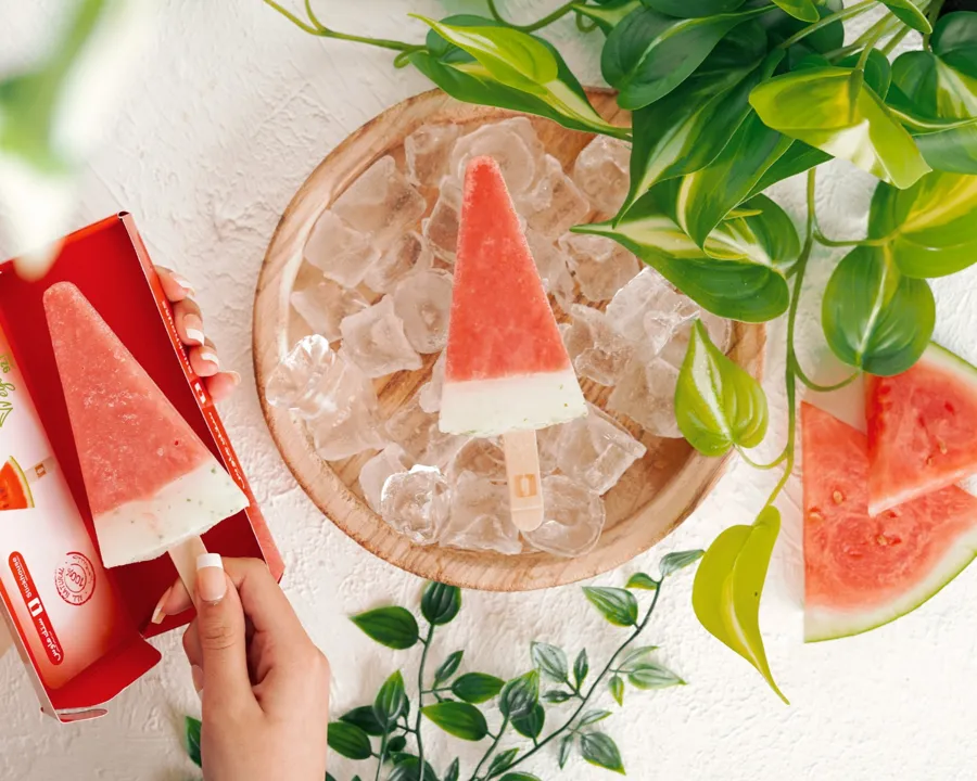 ٌRegular Icecream : Watermelon - lemon
