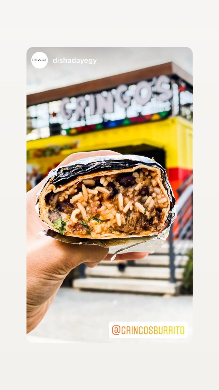 Nacho Burrito