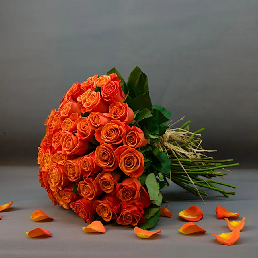 Simple Orange