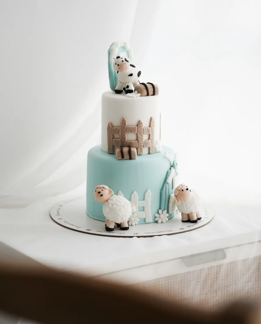 Double farm cake mix chocolate vanilla 6inch