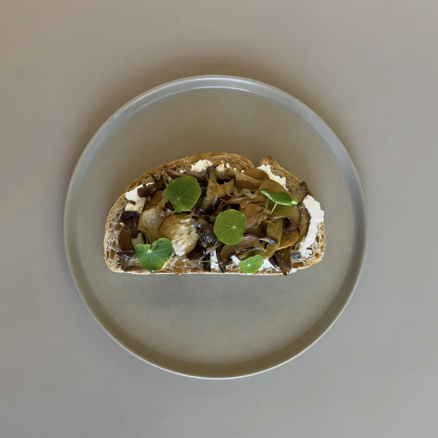 mushrooms and cottage cheese on sourdough