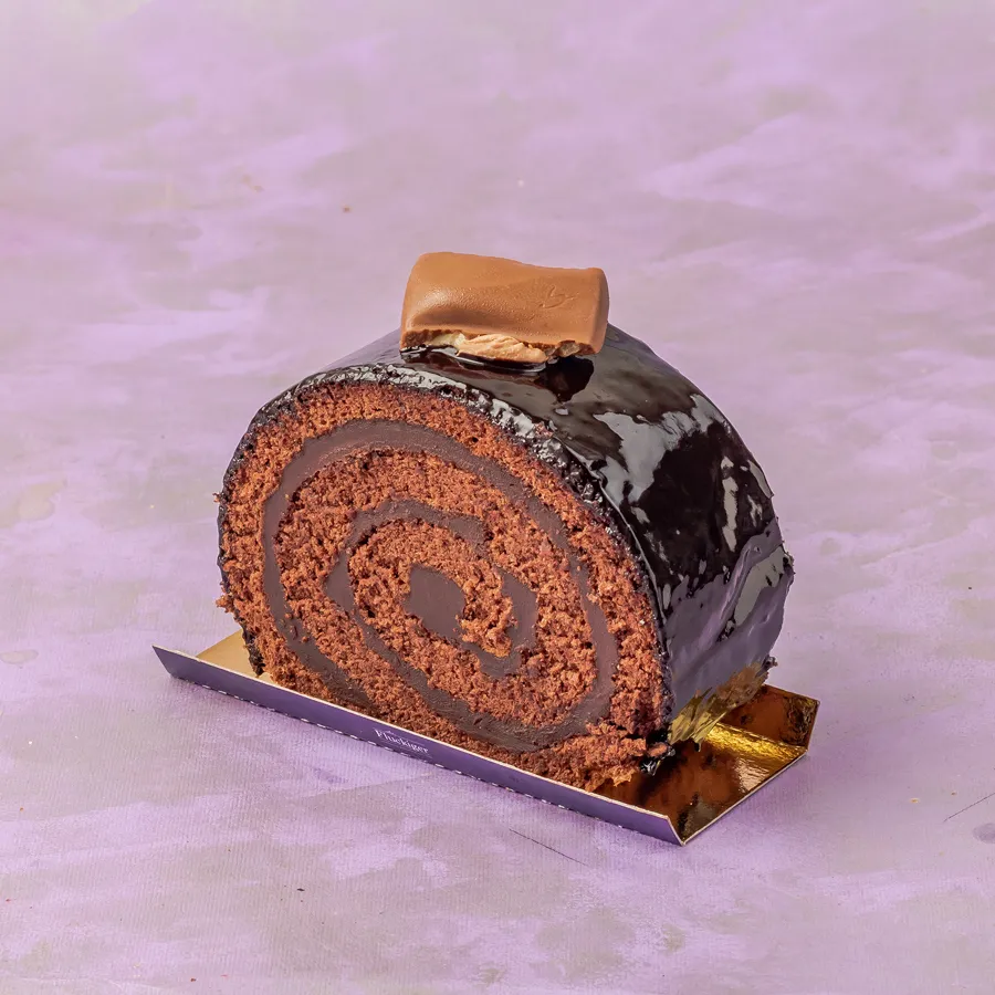 Special Swissroll Galaxy