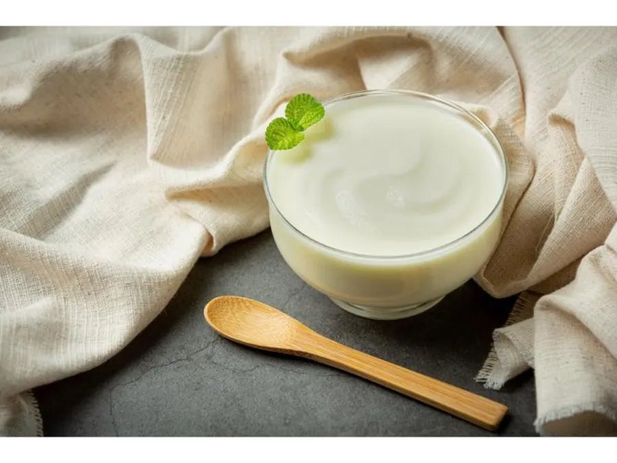 Yogurt