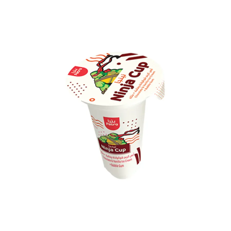 Ninja Chocolate Ice Cream Cup 100 ml