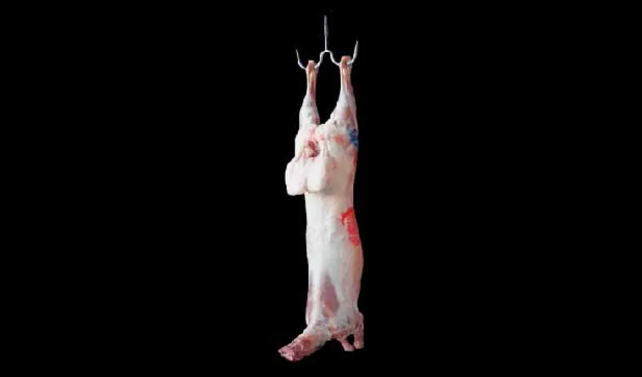 Georgian Lamb (Approx 13 KG)
