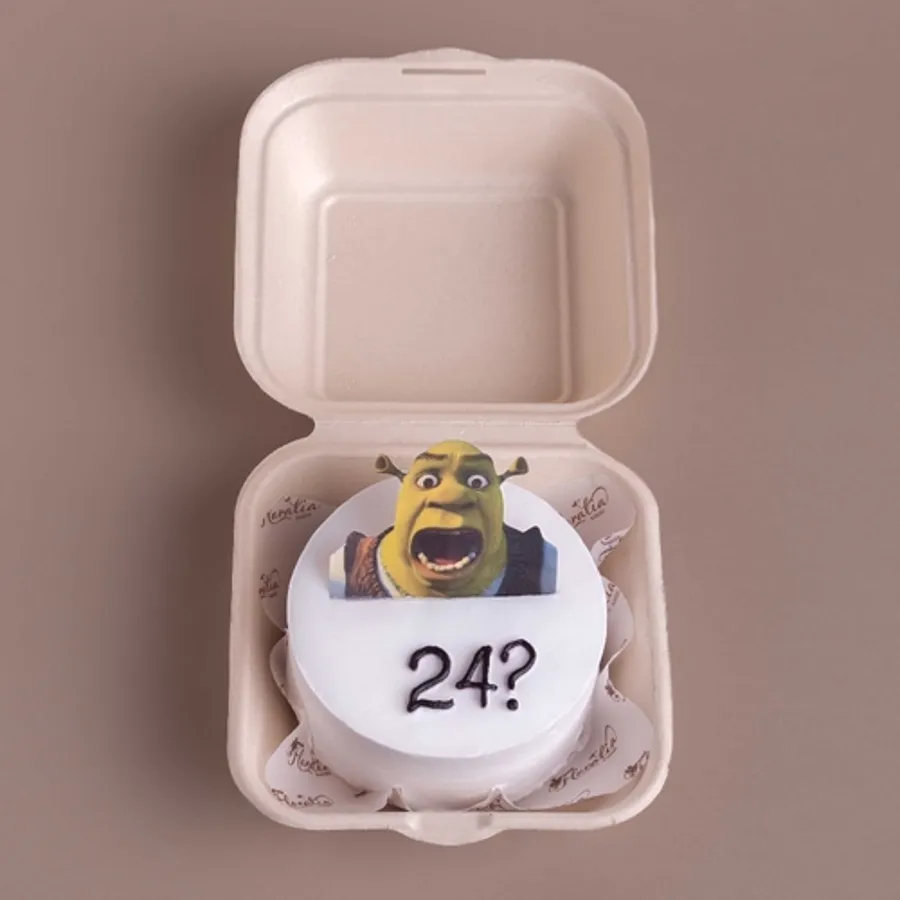 Shrek Bento