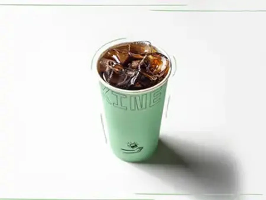 COCA COLA REGULAR