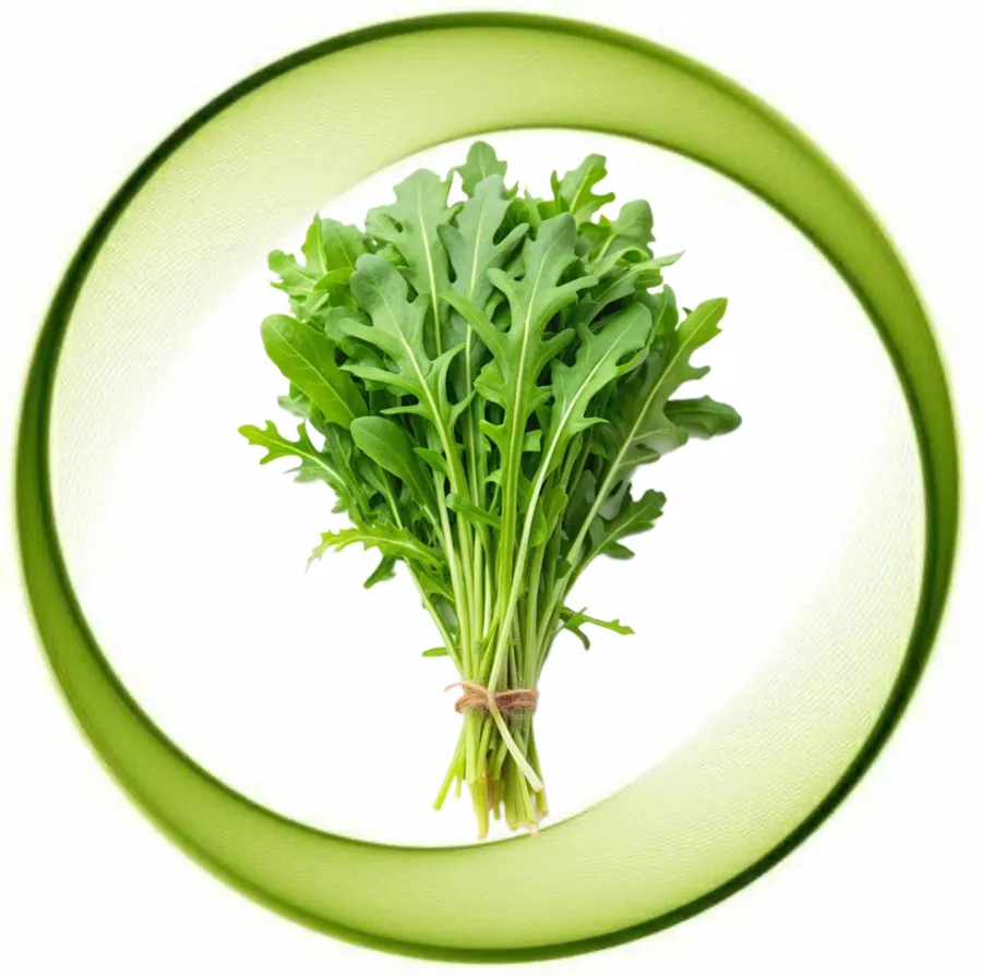 Arugula