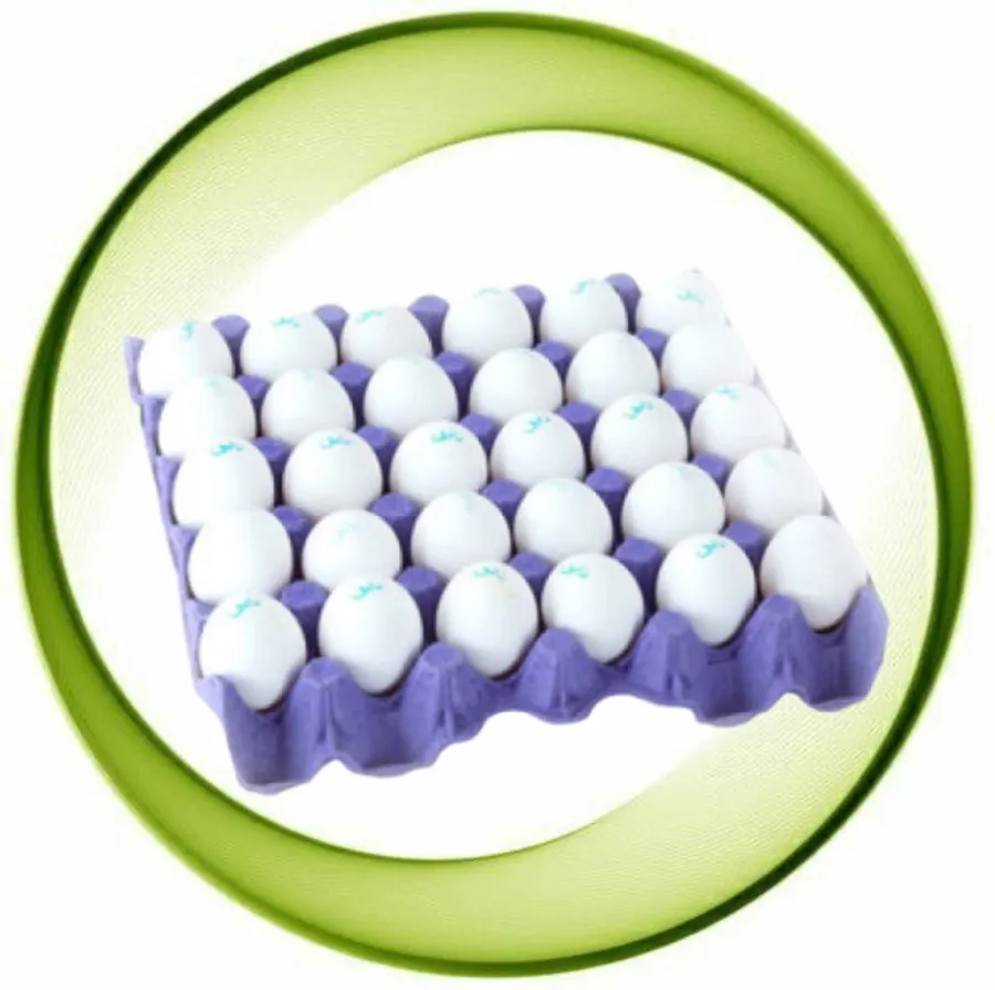 White farm eggs