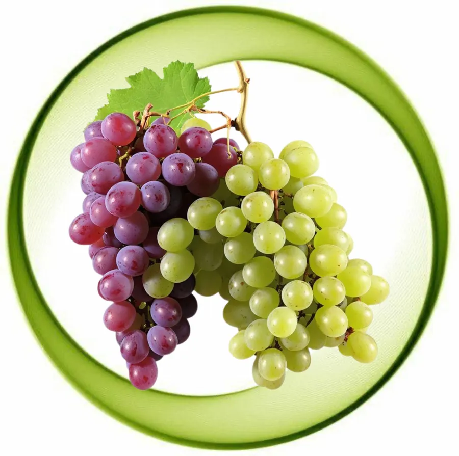 Red & green Grapes Pack