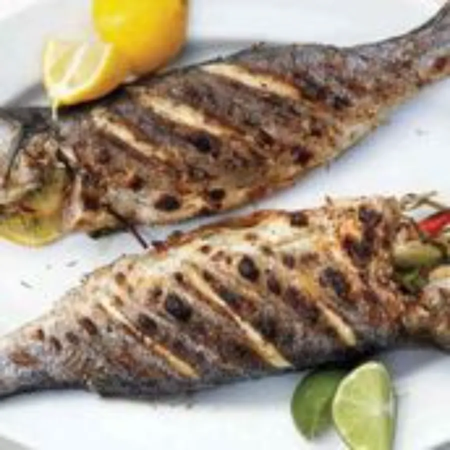 Croaker Fish 