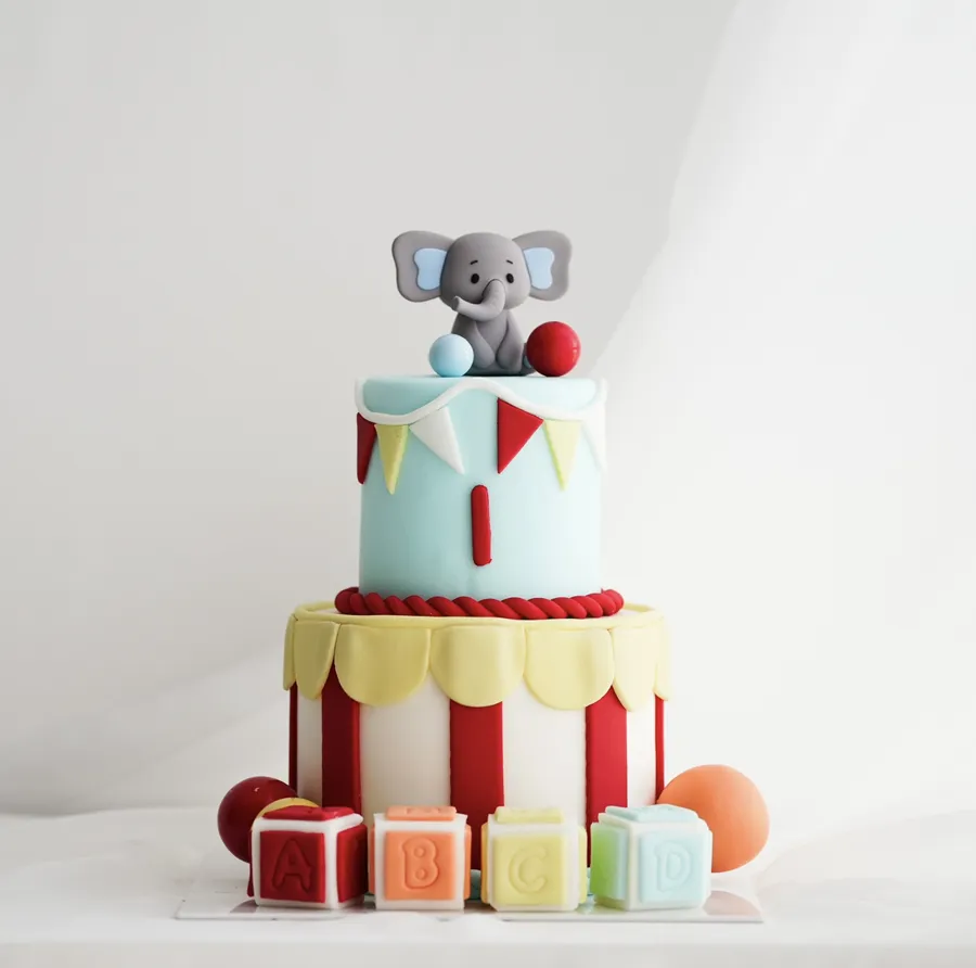 Circus elephant 🐘 cake double 6inch mix chocolate vanilla
