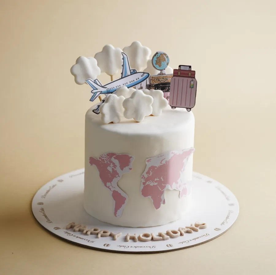 Pink airplane cake 6 inches mix chocolate vanilla ✈️